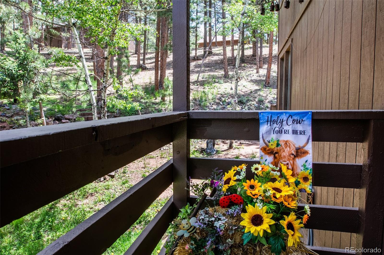 MLS Image #2 for 560  manor court,woodland park, Colorado