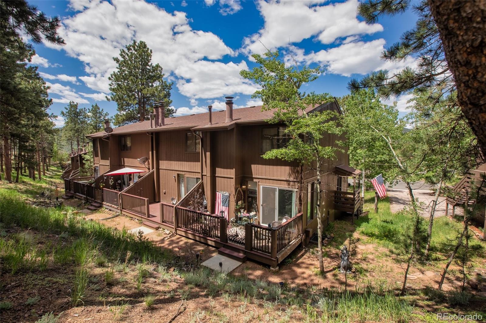 MLS Image #3 for 560  manor court,woodland park, Colorado