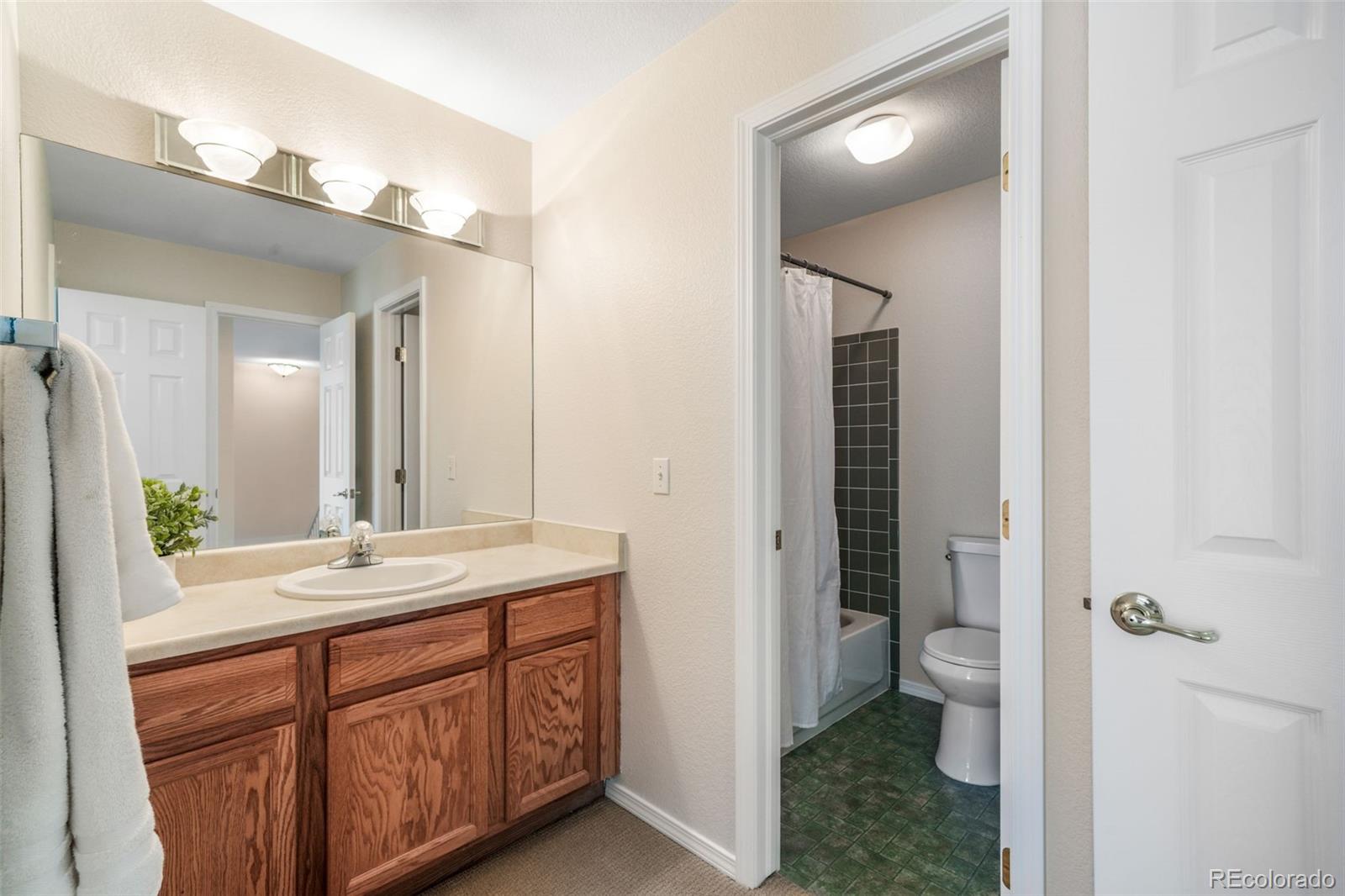 MLS Image #33 for 1223  villa grove,monument, Colorado