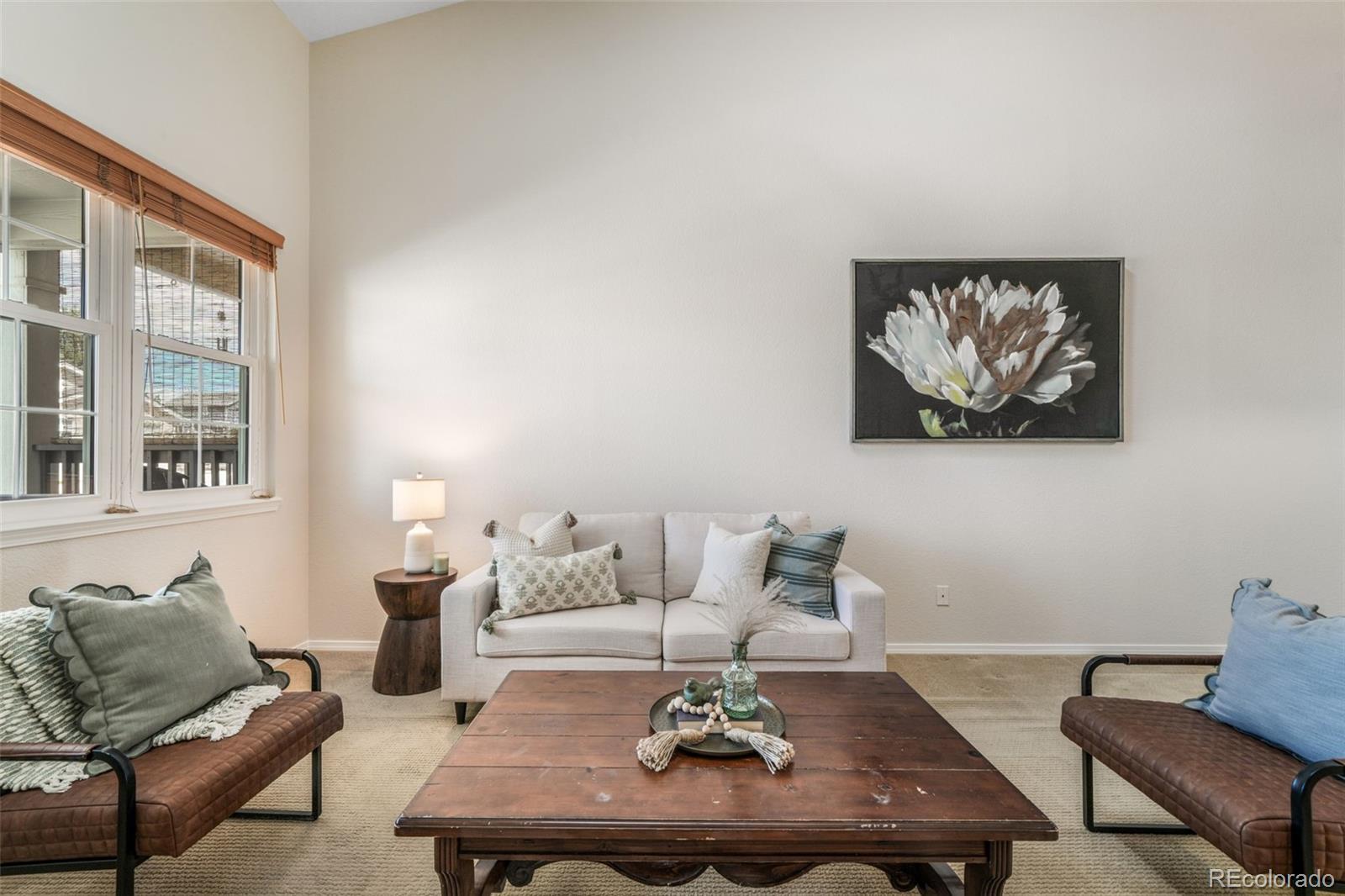 MLS Image #6 for 1223  villa grove,monument, Colorado