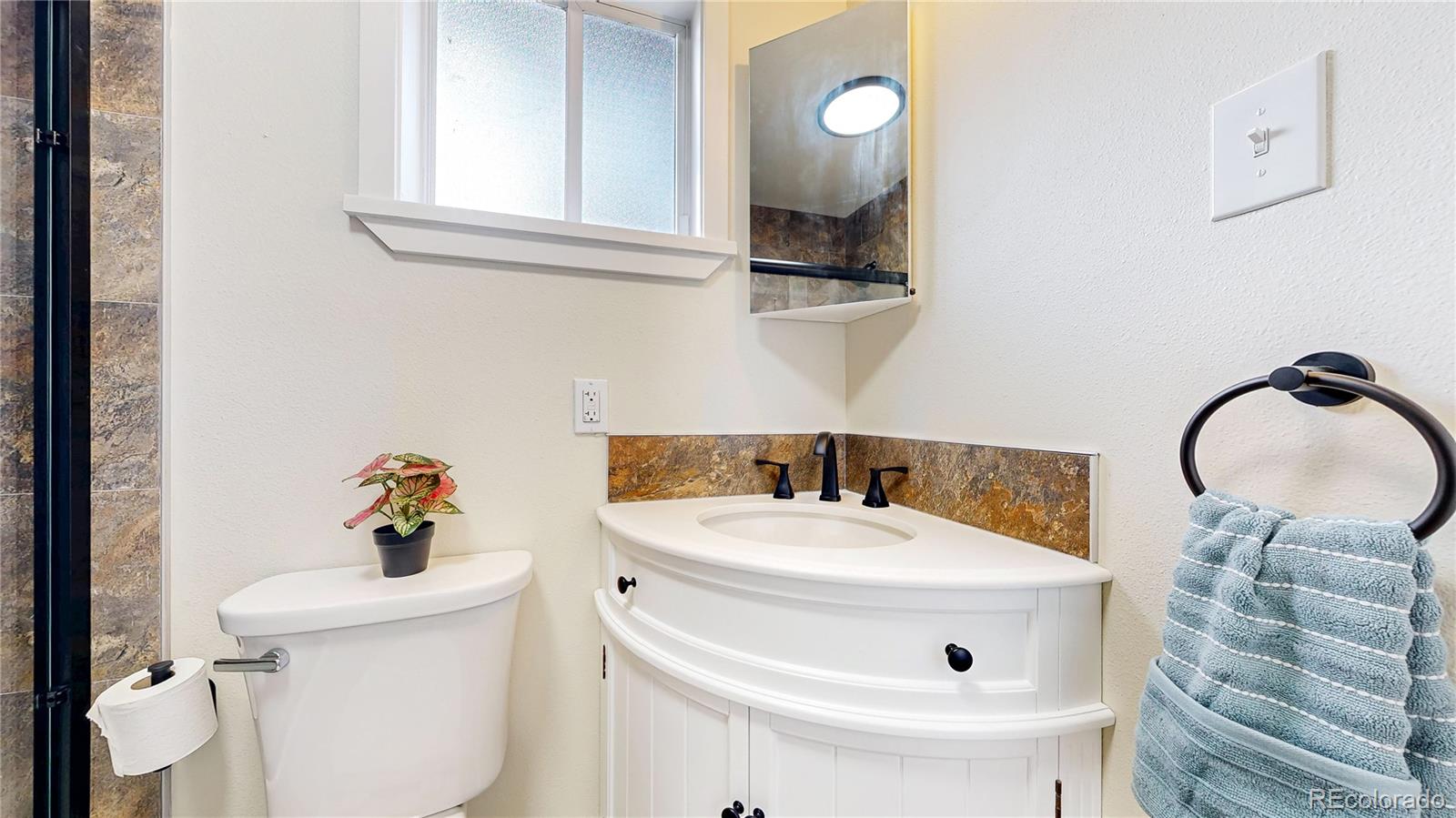 MLS Image #10 for 225  renaud road,bailey, Colorado