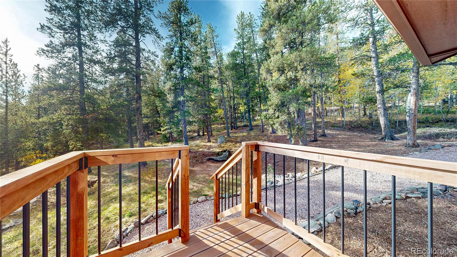 MLS Image #19 for 225  renaud road,bailey, Colorado