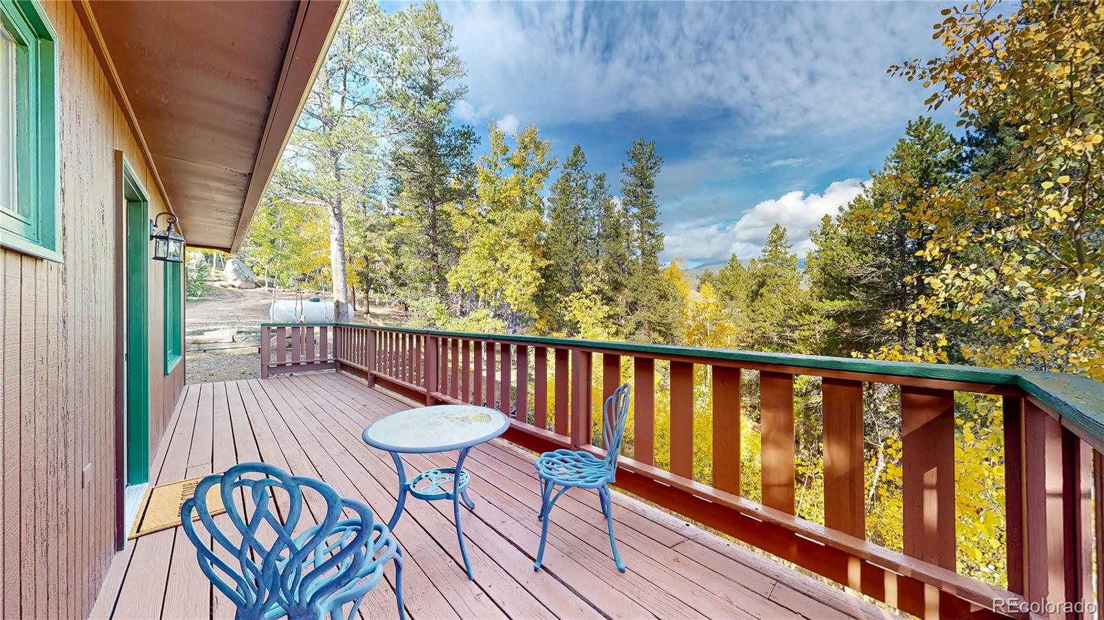 MLS Image #20 for 225  renaud road,bailey, Colorado