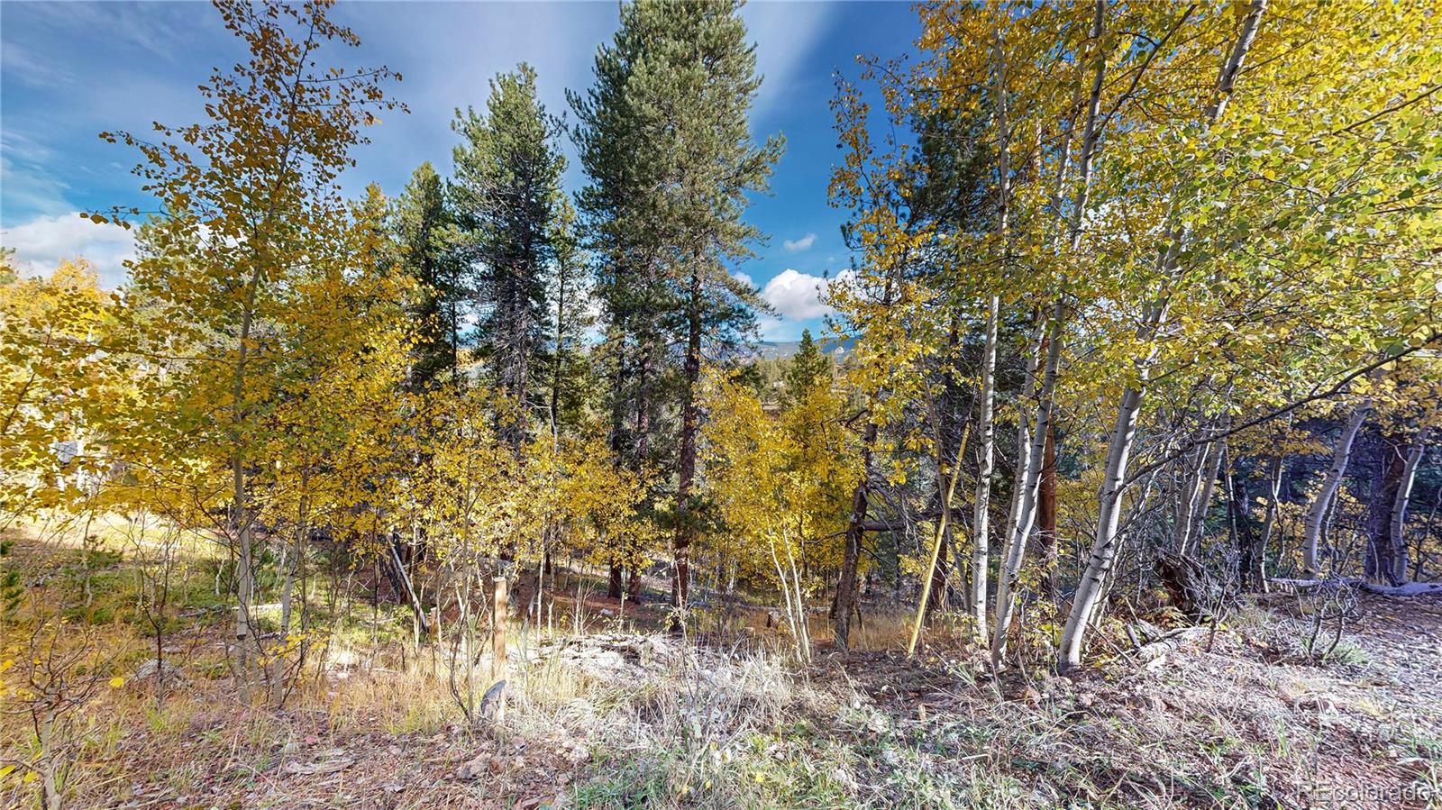 MLS Image #23 for 225  renaud road,bailey, Colorado
