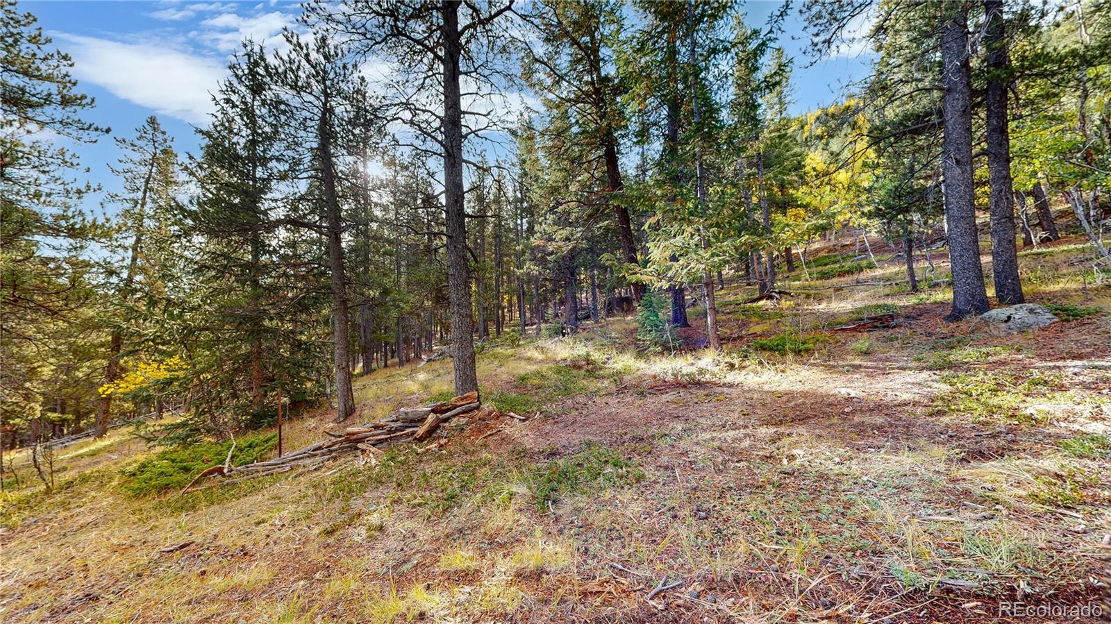 MLS Image #27 for 225  renaud road,bailey, Colorado