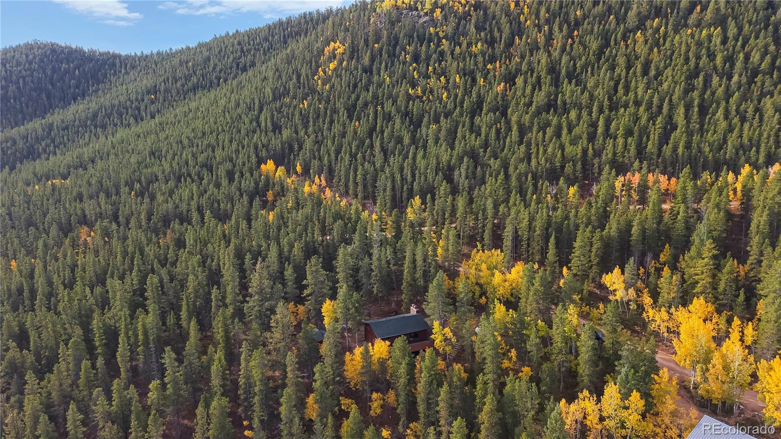 MLS Image #36 for 225  renaud road,bailey, Colorado