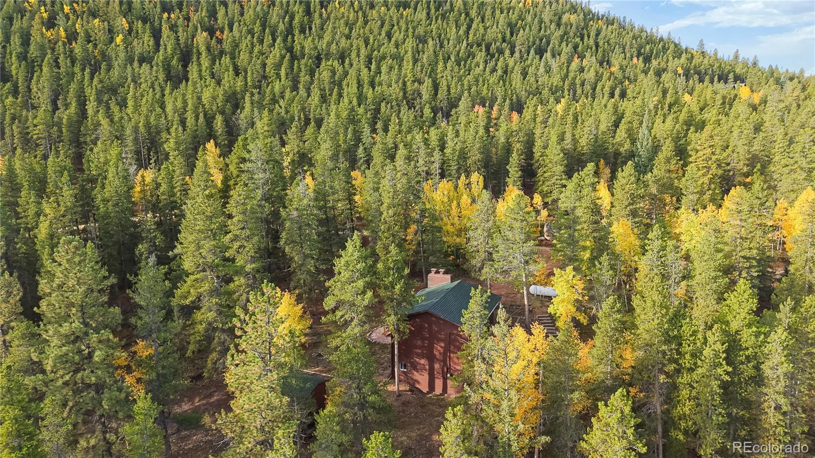 MLS Image #37 for 225  renaud road,bailey, Colorado