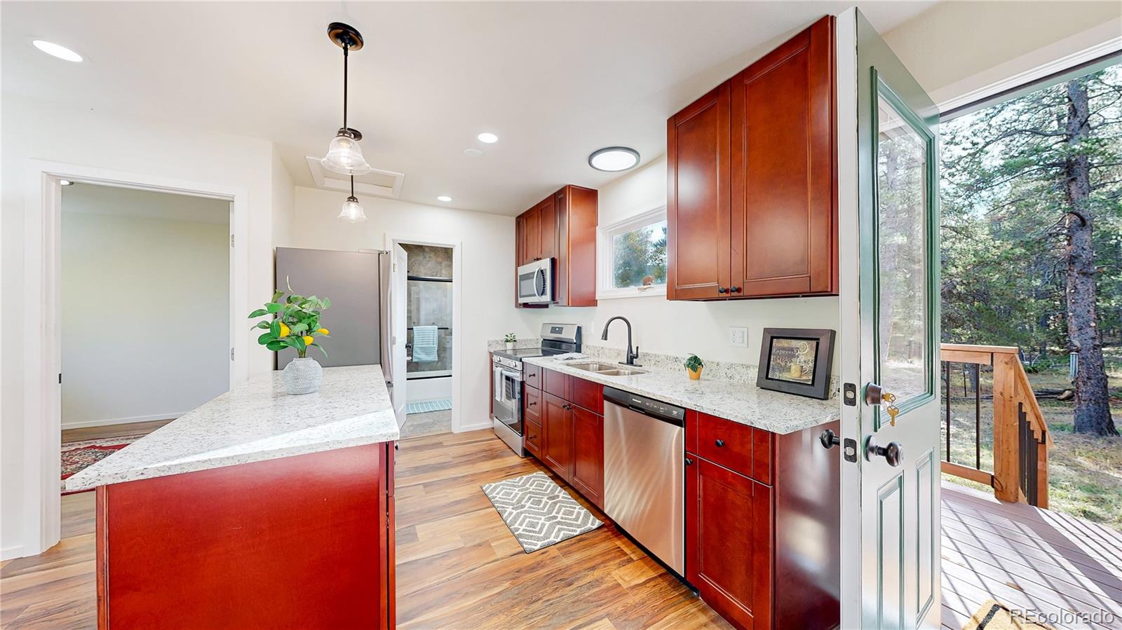 MLS Image #5 for 225  renaud road,bailey, Colorado