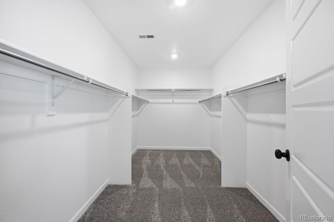 MLS Image #10 for 3614  recess lane,castle rock, Colorado