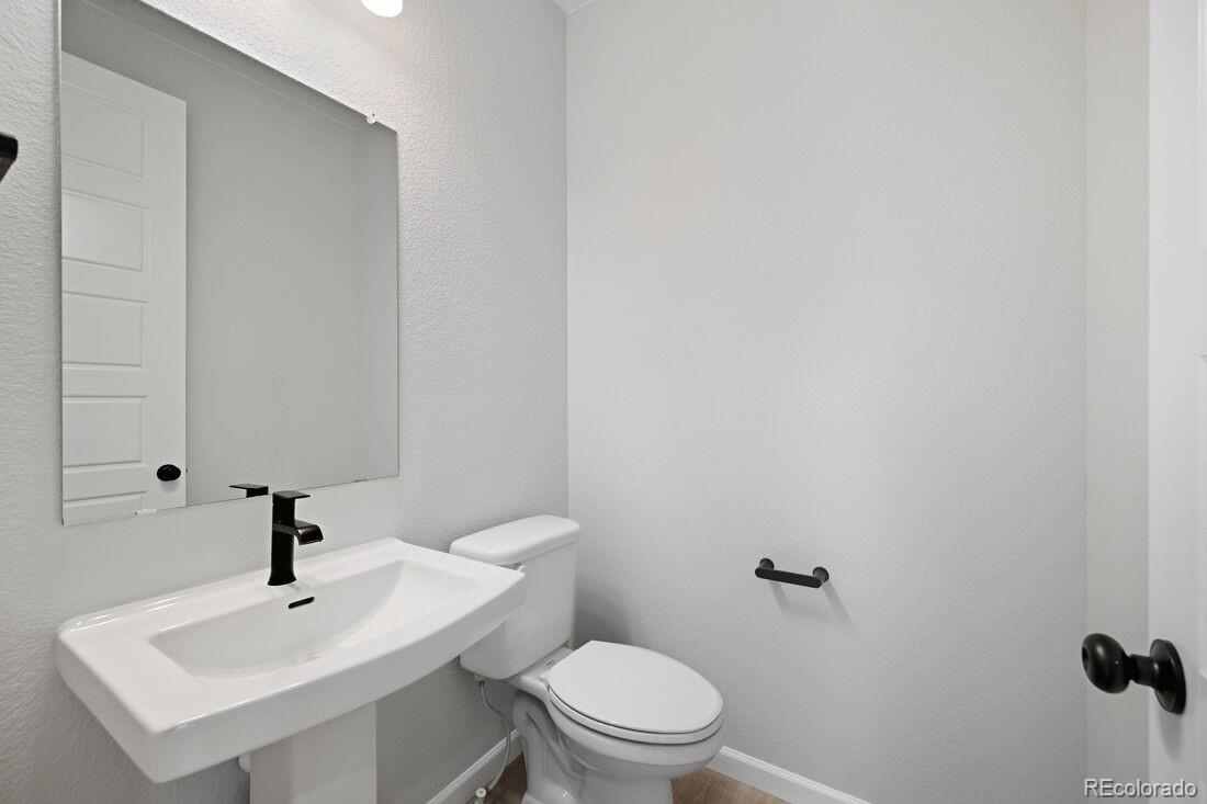 MLS Image #19 for 3614  recess lane,castle rock, Colorado