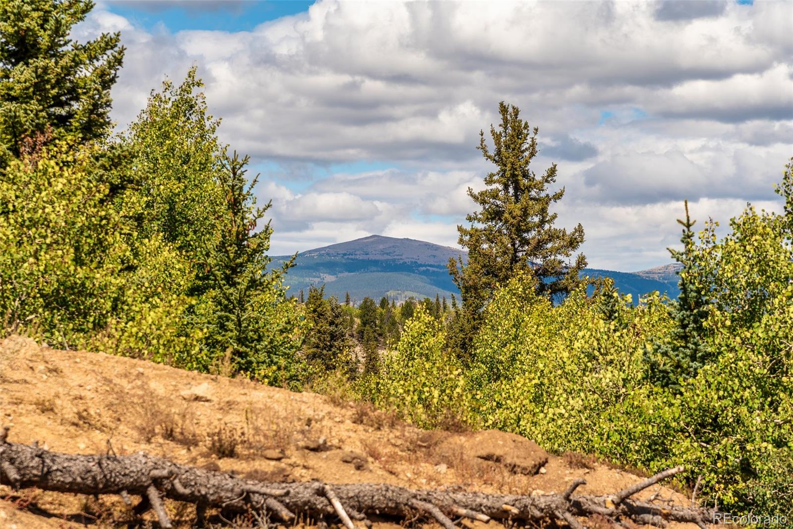 MLS Image #32 for 2491  stagestop road,jefferson, Colorado