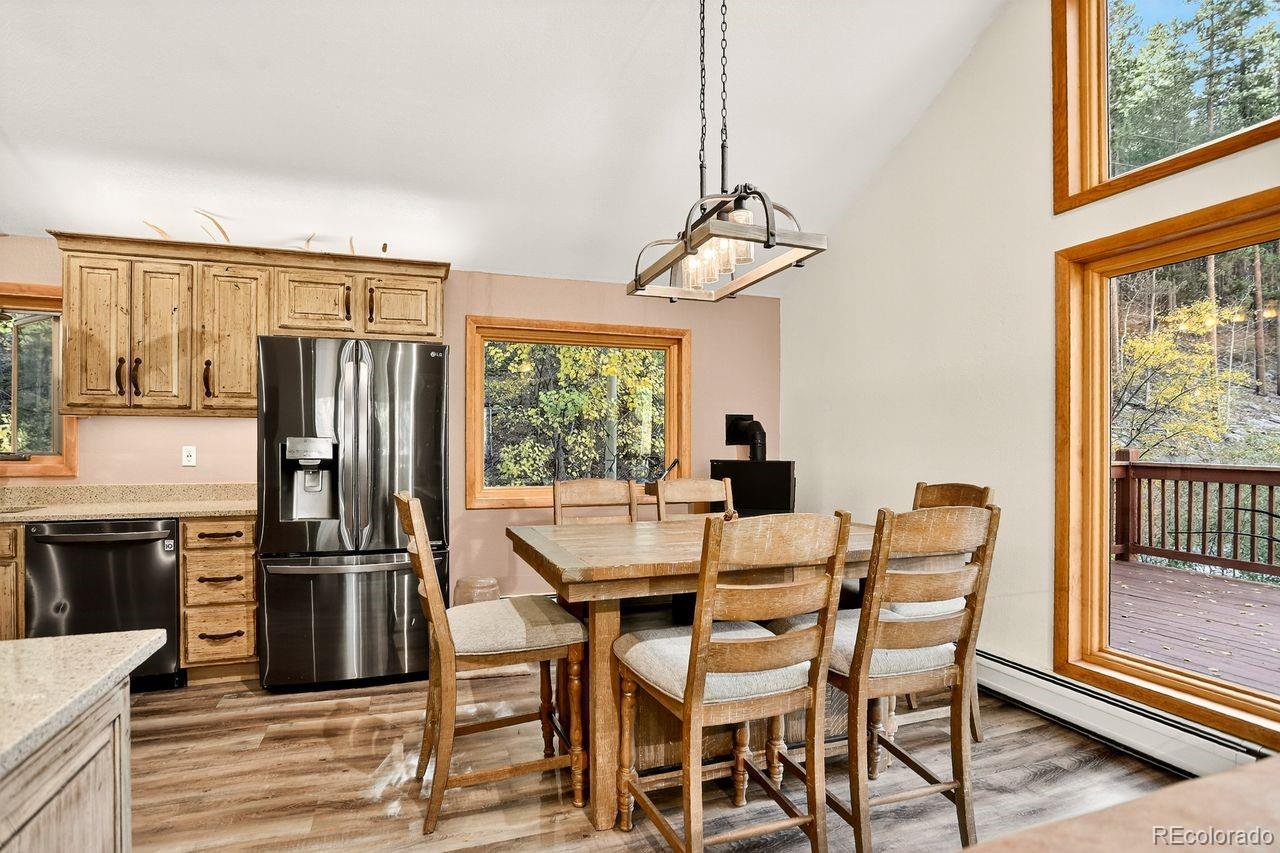MLS Image #15 for 7505  county road 43 ,bailey, Colorado