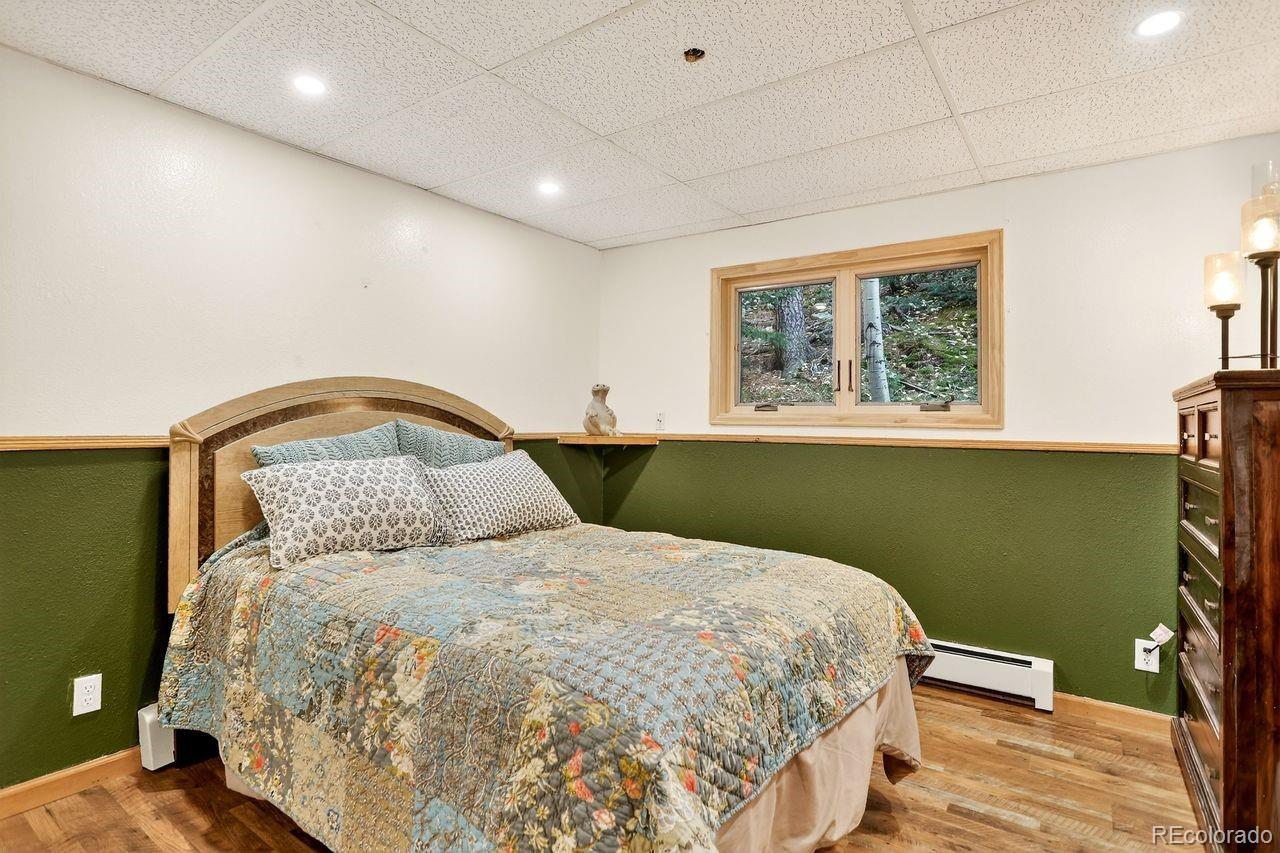 MLS Image #22 for 7505  county road 43 ,bailey, Colorado