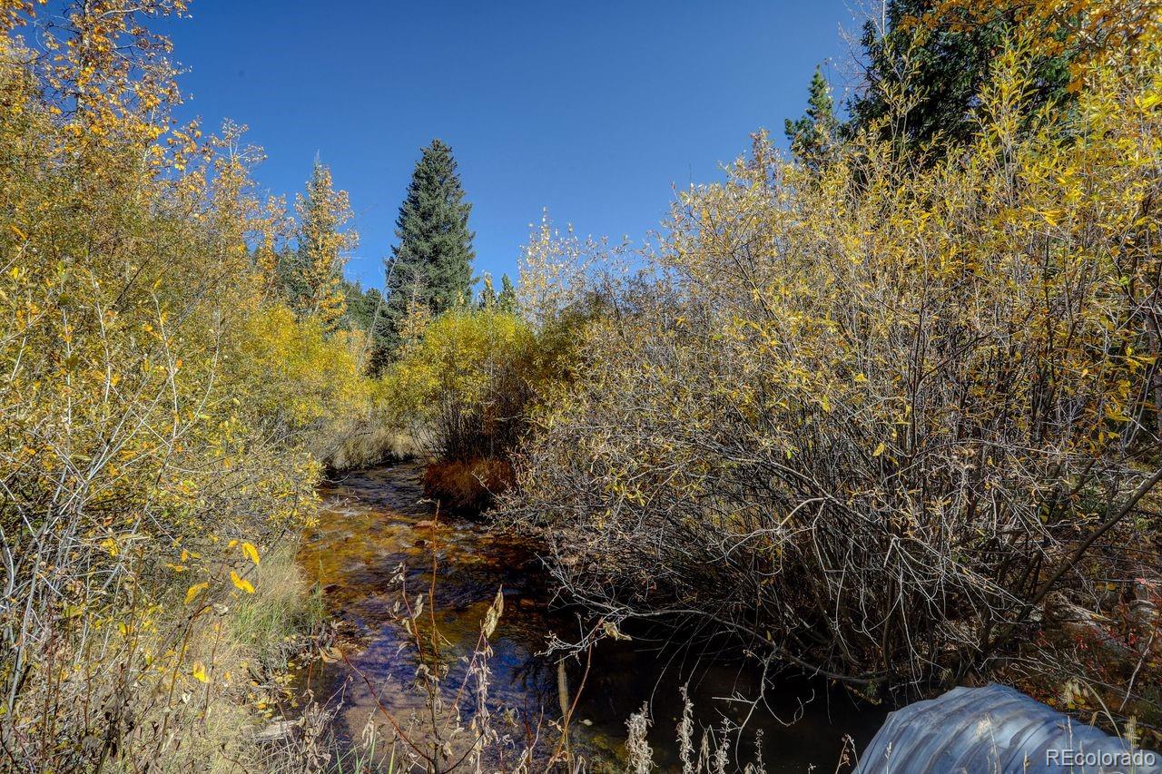 MLS Image #29 for 7505  county road 43 ,bailey, Colorado