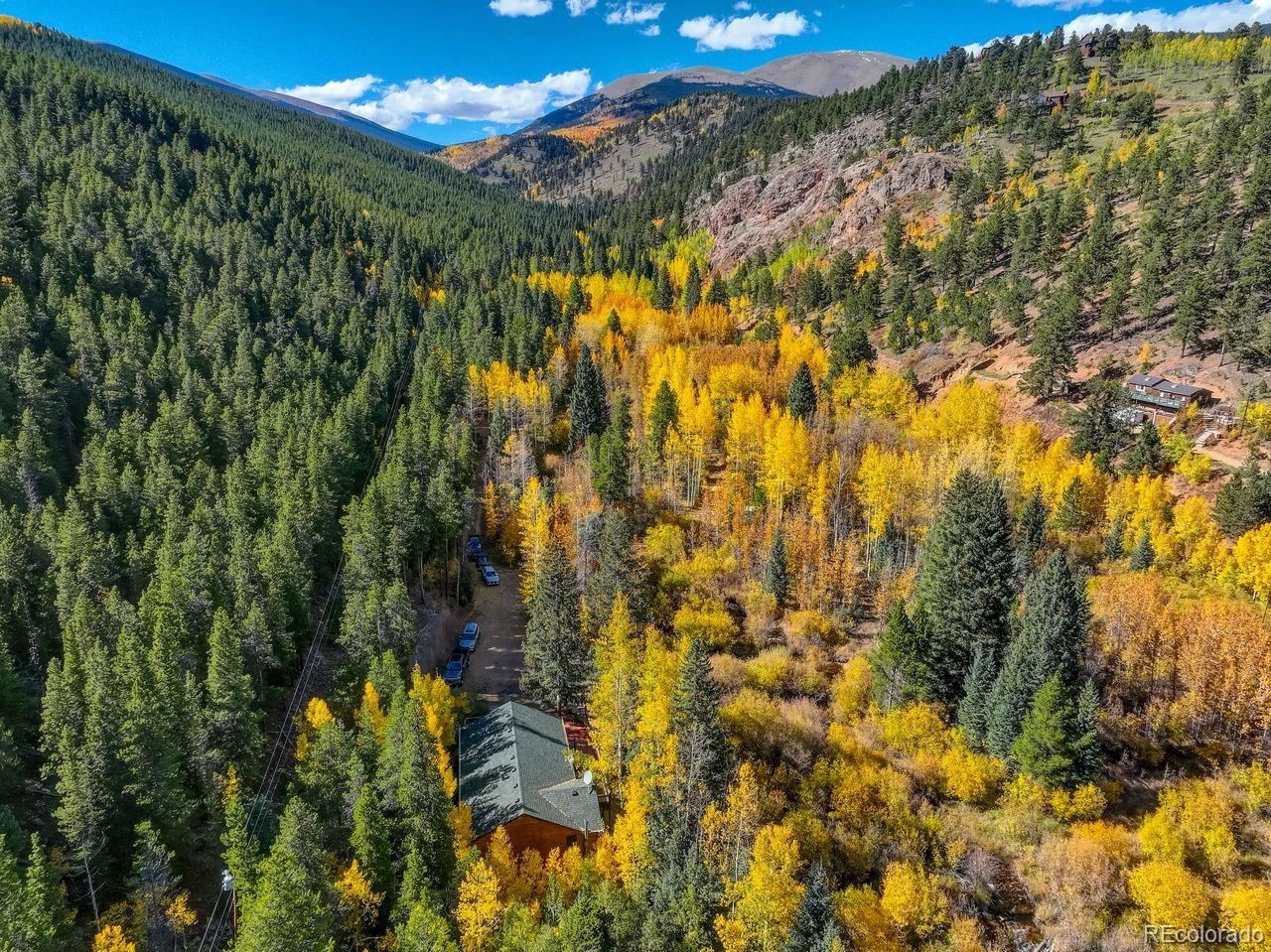 MLS Image #4 for 7505  county road 43 ,bailey, Colorado