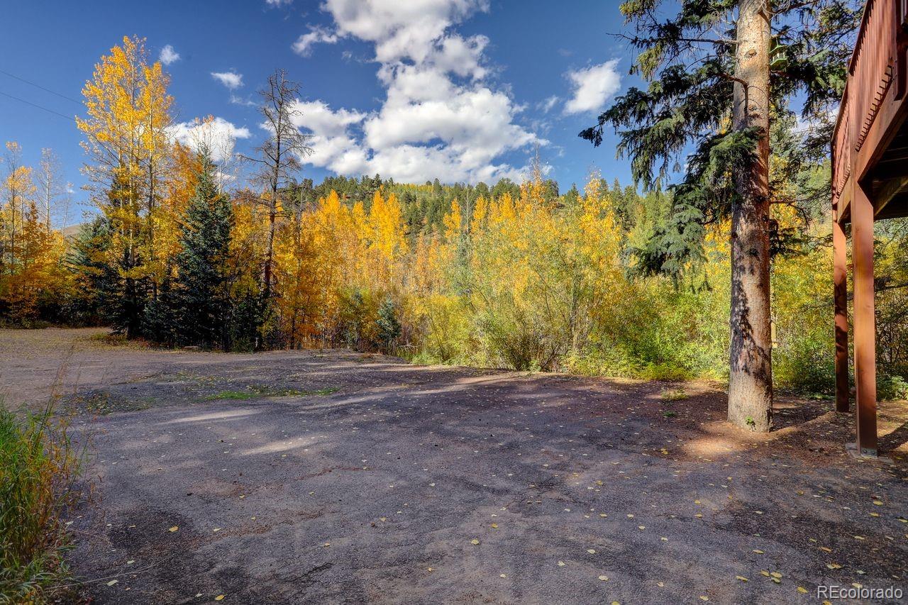 MLS Image #6 for 7505  county road 43 ,bailey, Colorado