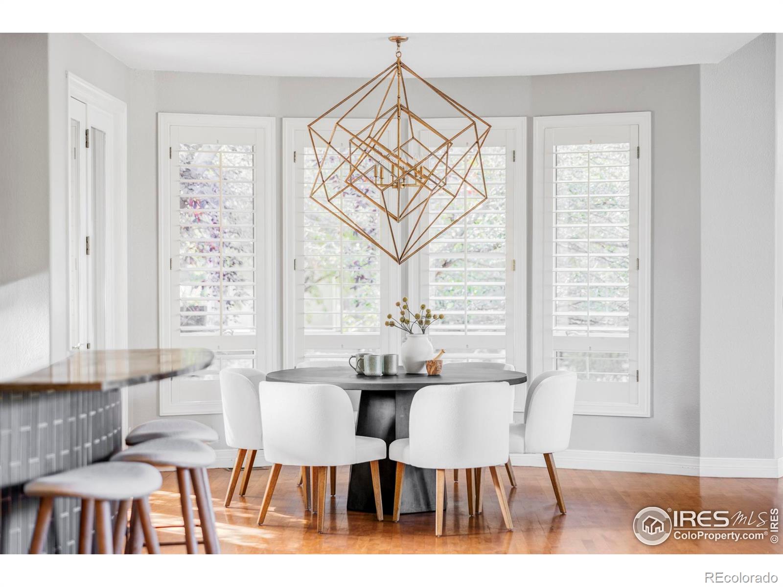 MLS Image #11 for 9022  jason court,boulder, Colorado