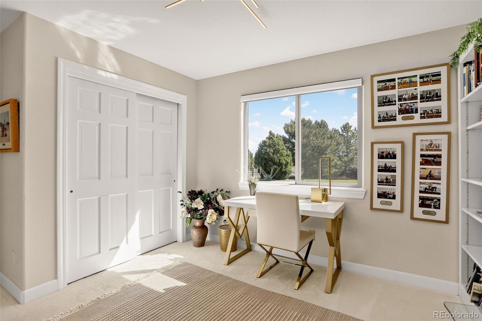 MLS Image #15 for 11251 n forest hills drive,parker, Colorado
