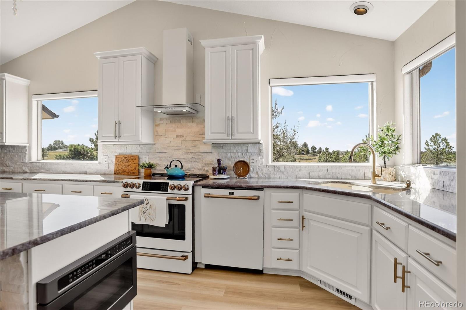 MLS Image #6 for 11251 n forest hills drive,parker, Colorado