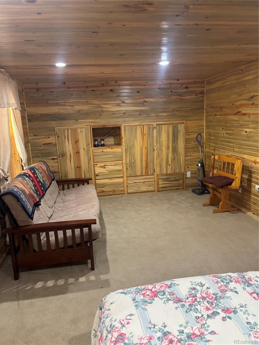 MLS Image #12 for 613  alamosa avenue,jasper, Colorado