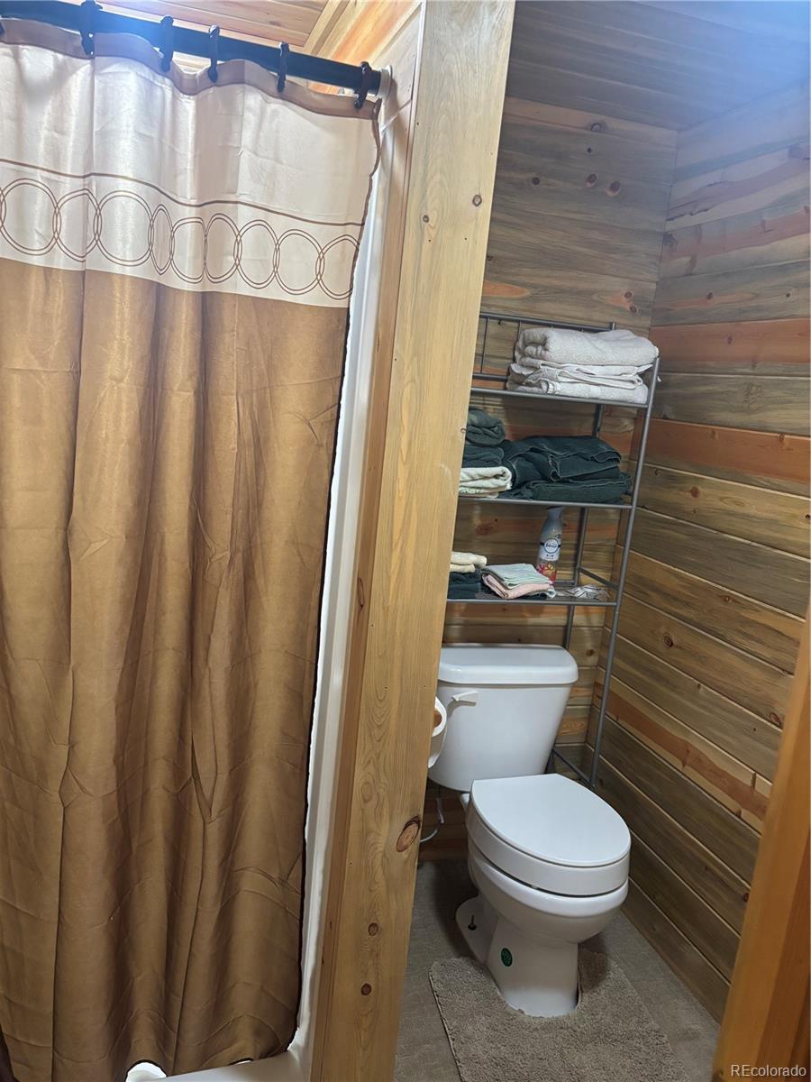MLS Image #14 for 613  alamosa avenue,jasper, Colorado