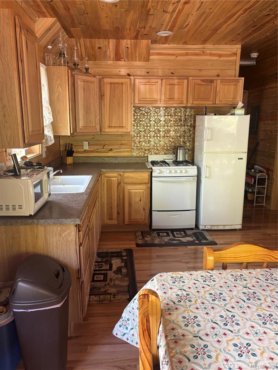 MLS Image #18 for 613  alamosa avenue,jasper, Colorado