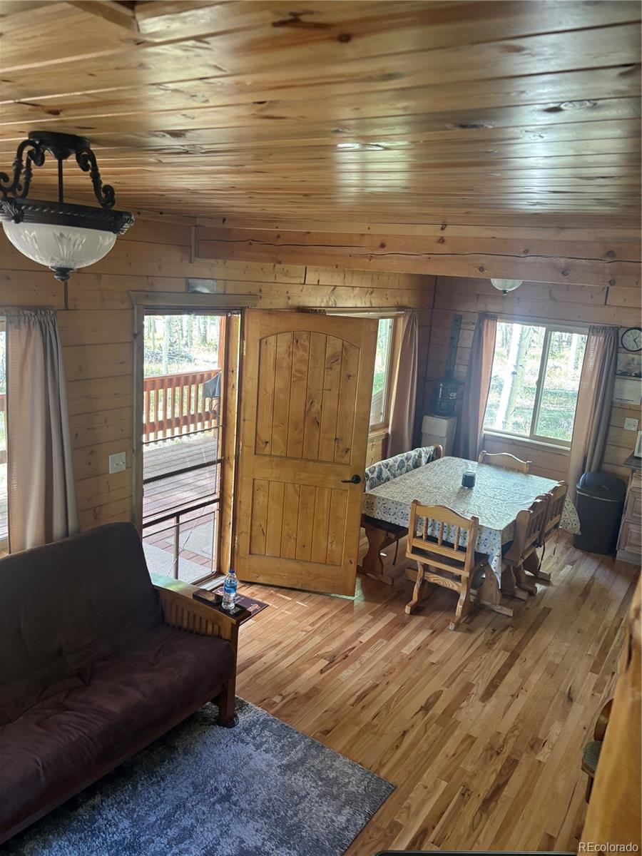 MLS Image #19 for 613  alamosa avenue,jasper, Colorado