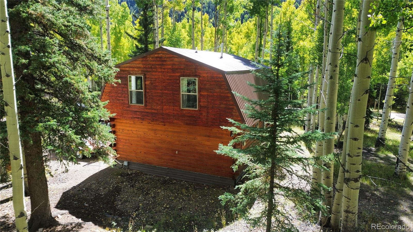 MLS Image #22 for 613  alamosa avenue,jasper, Colorado