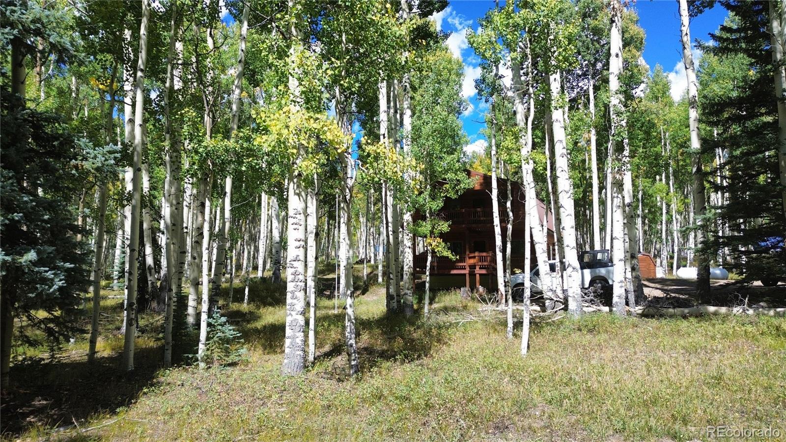 MLS Image #23 for 613  alamosa avenue,jasper, Colorado