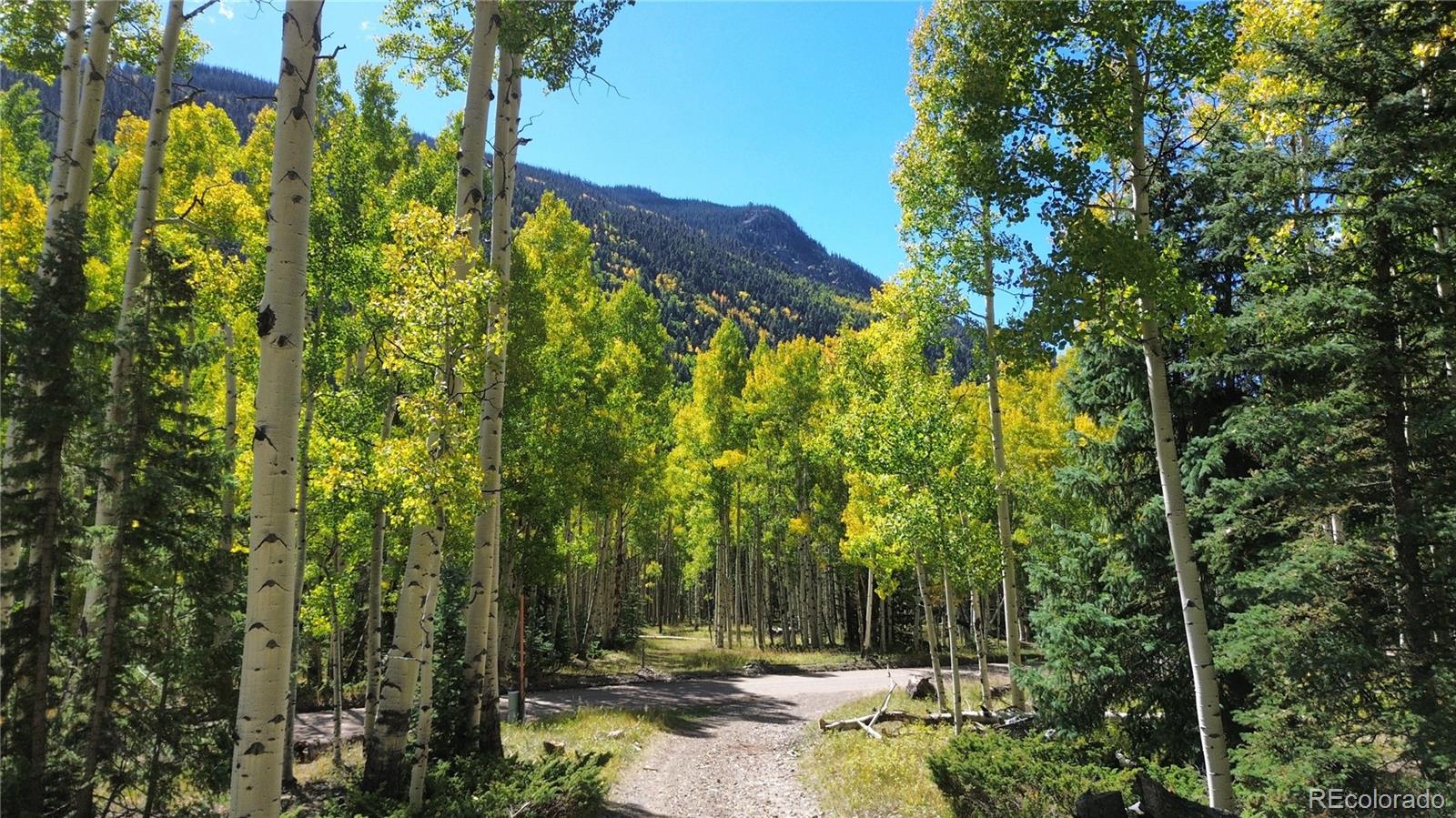 MLS Image #27 for 613  alamosa avenue,jasper, Colorado