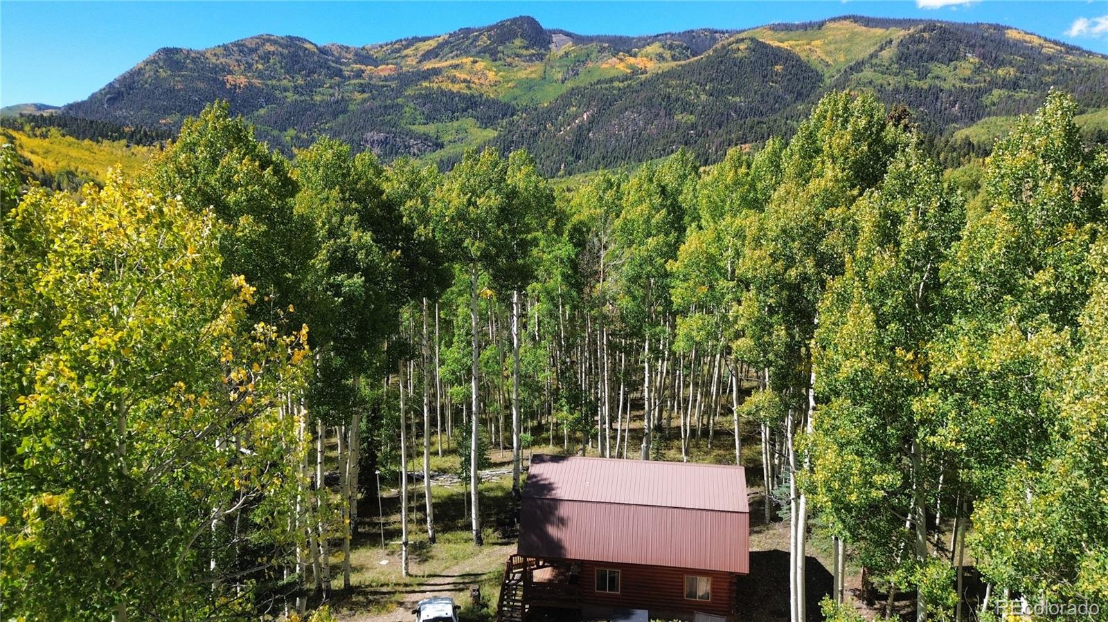 MLS Image #3 for 613  alamosa avenue,jasper, Colorado