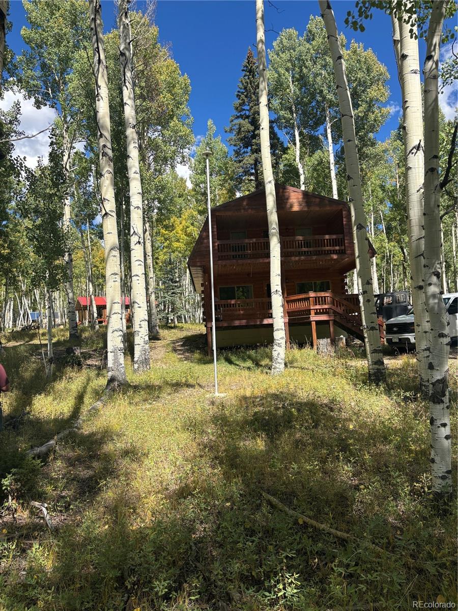 MLS Image #33 for 613  alamosa avenue,jasper, Colorado