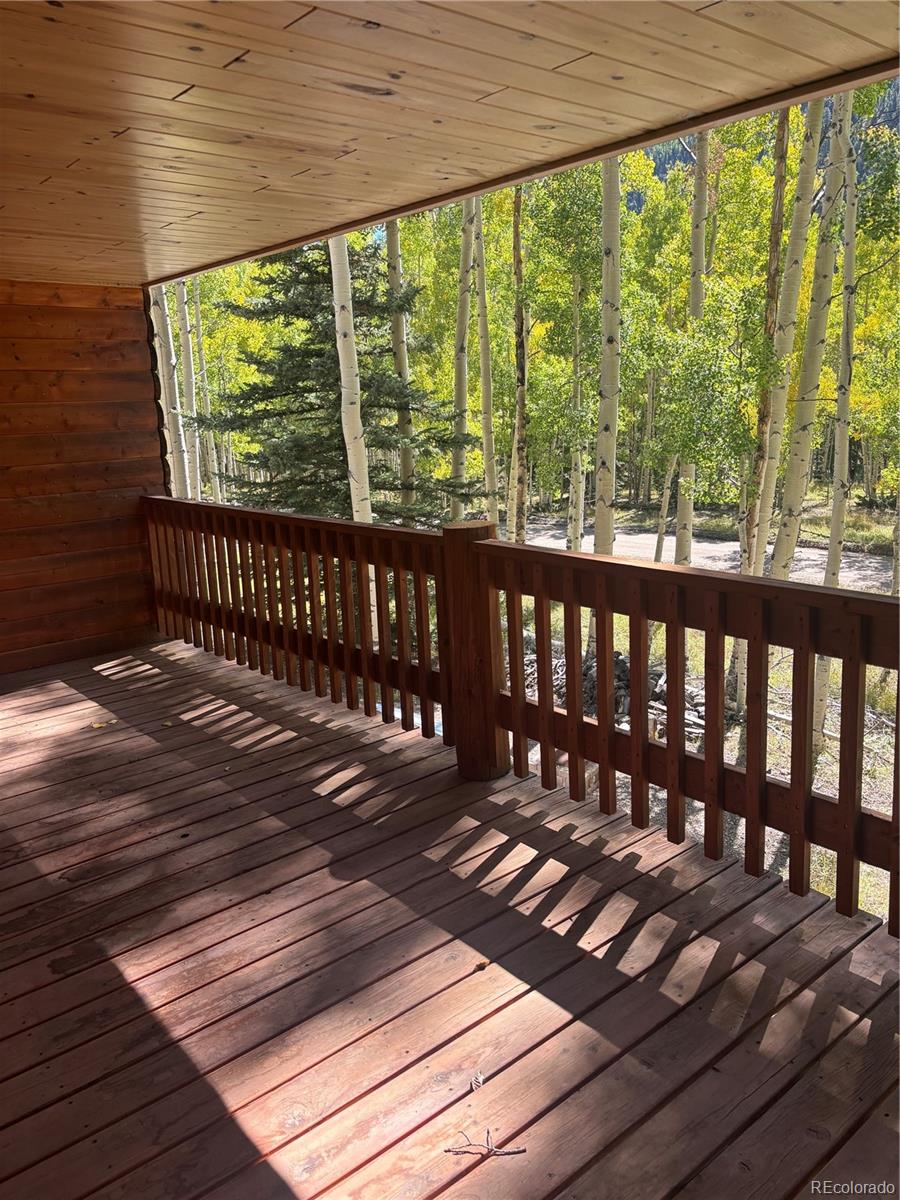 MLS Image #35 for 613  alamosa avenue,jasper, Colorado