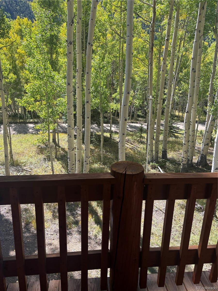 MLS Image #38 for 613  alamosa avenue,jasper, Colorado