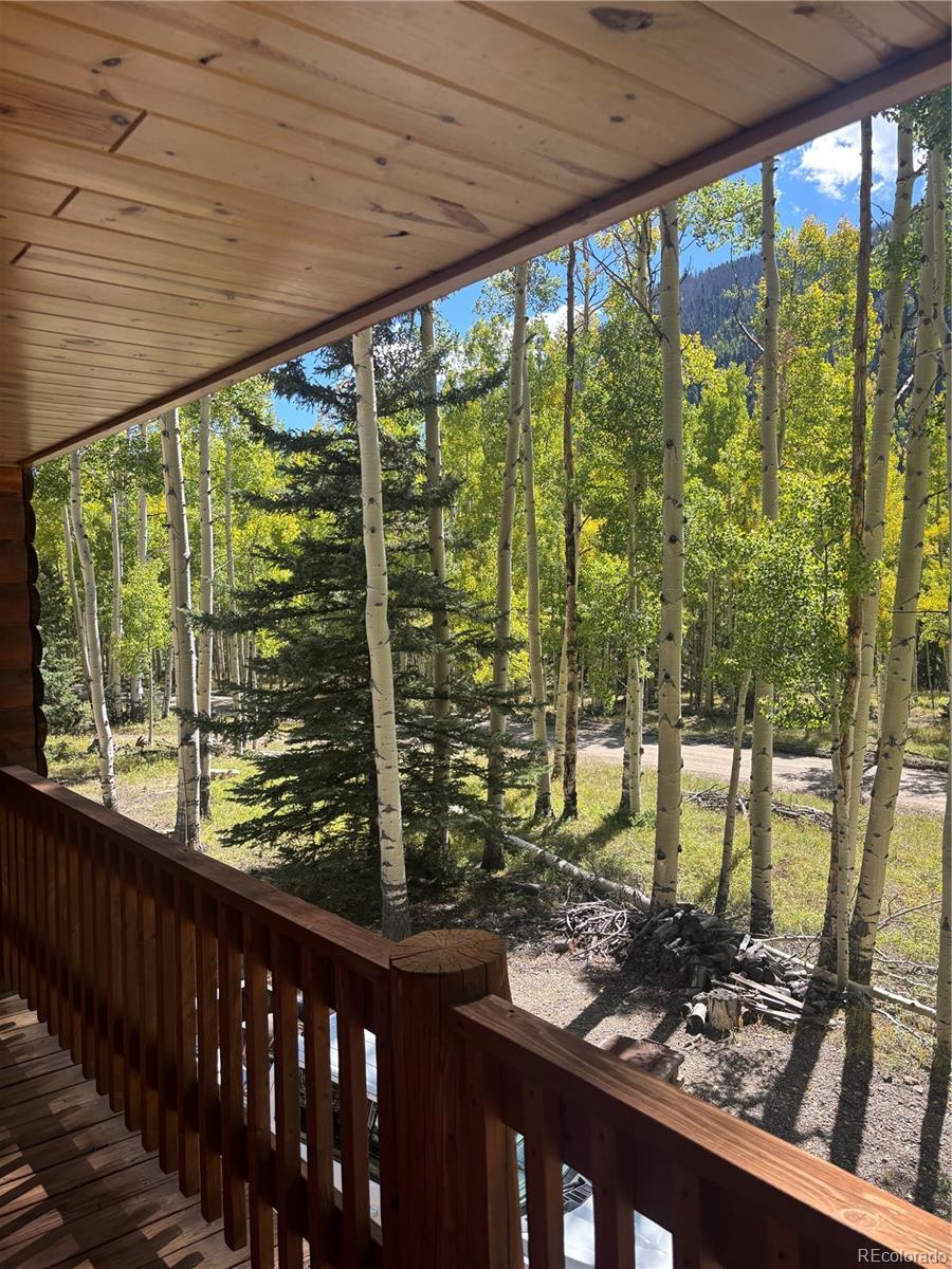 MLS Image #39 for 613  alamosa avenue,jasper, Colorado