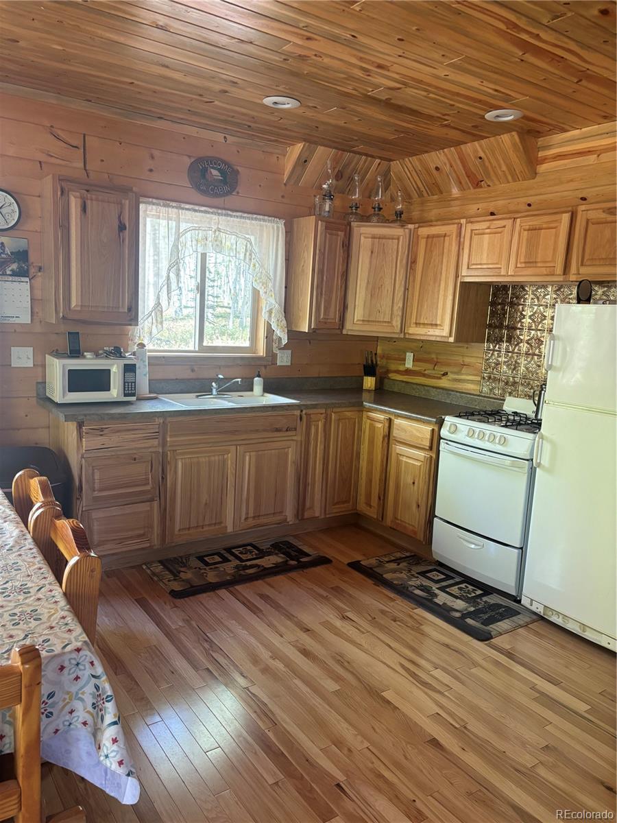 MLS Image #6 for 613  alamosa avenue,jasper, Colorado