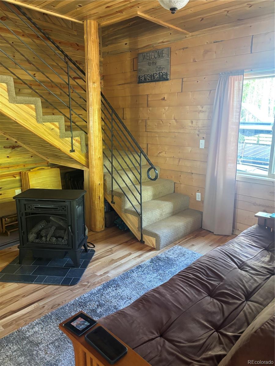 MLS Image #9 for 613  alamosa avenue,jasper, Colorado