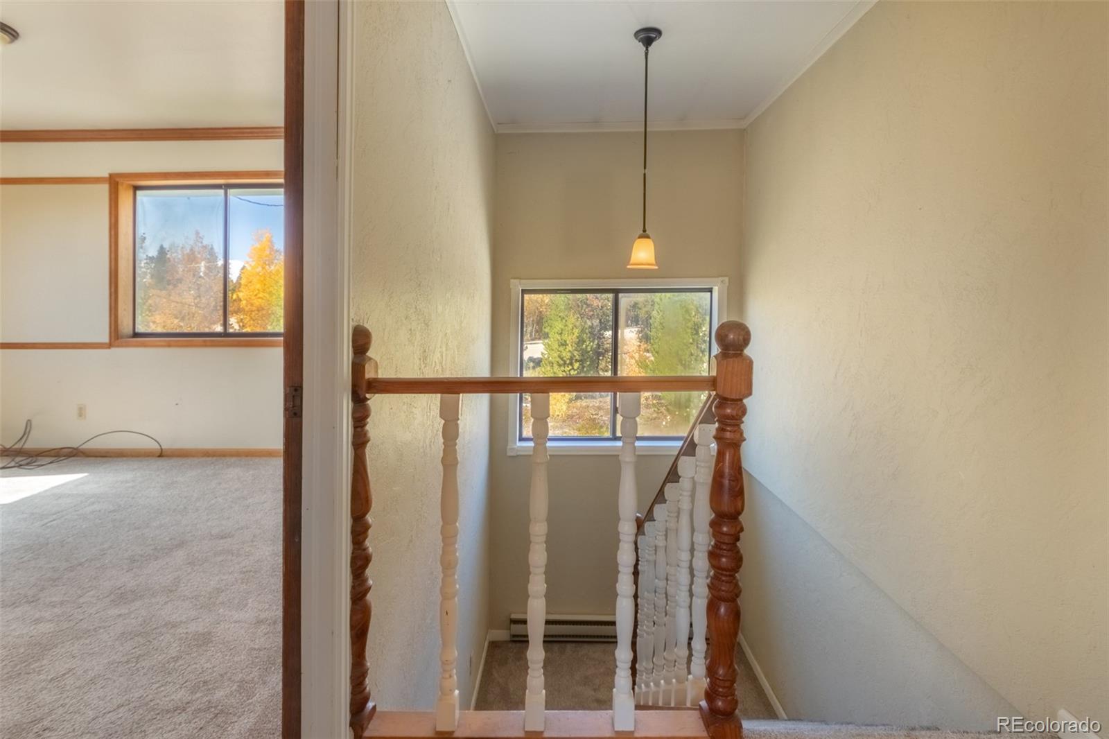 MLS Image #18 for 143  grand county road 443 ,grand lake, Colorado
