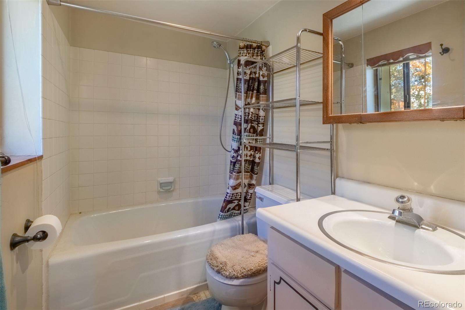 MLS Image #21 for 143  grand county road 443 ,grand lake, Colorado