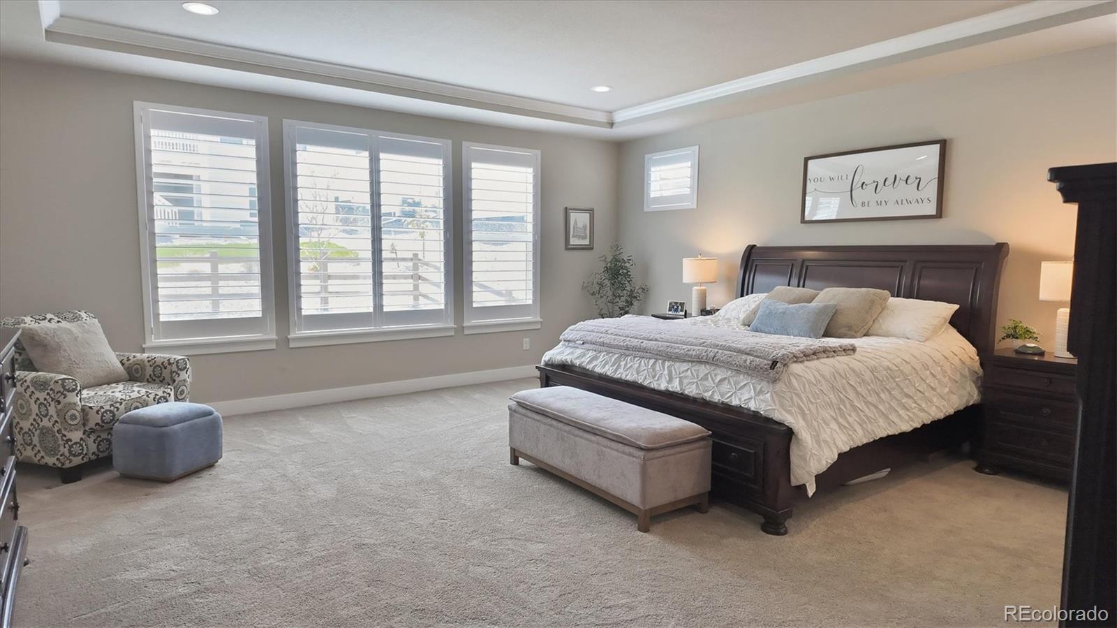 MLS Image #13 for 5411  edenborn way,castle rock, Colorado