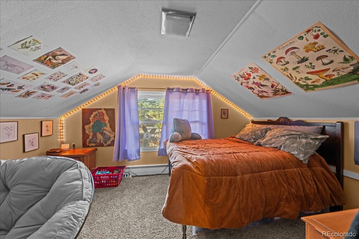 MLS Image #18 for 40  ski road,allenspark, Colorado