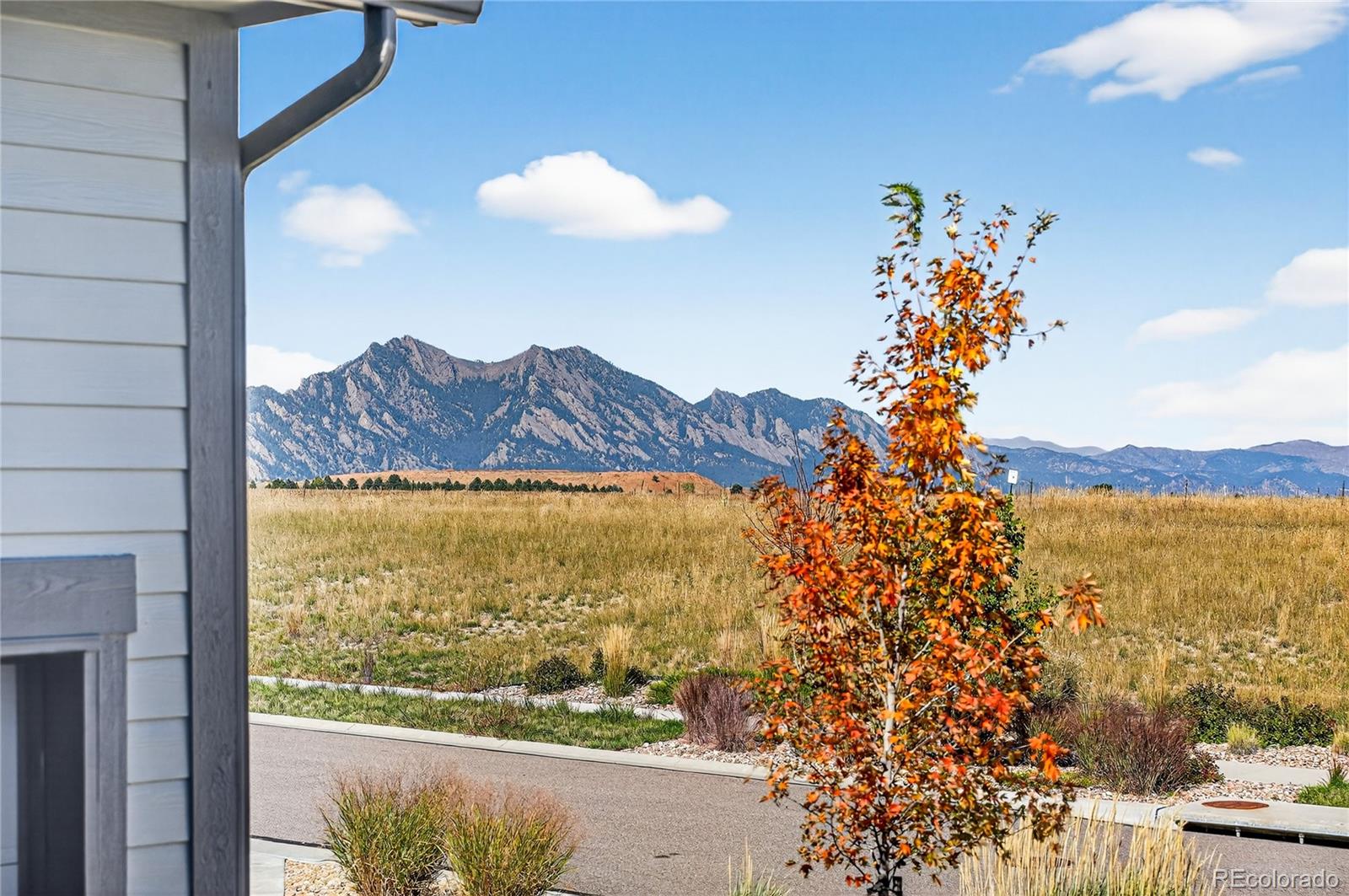 MLS Image #37 for    ,, Colorado