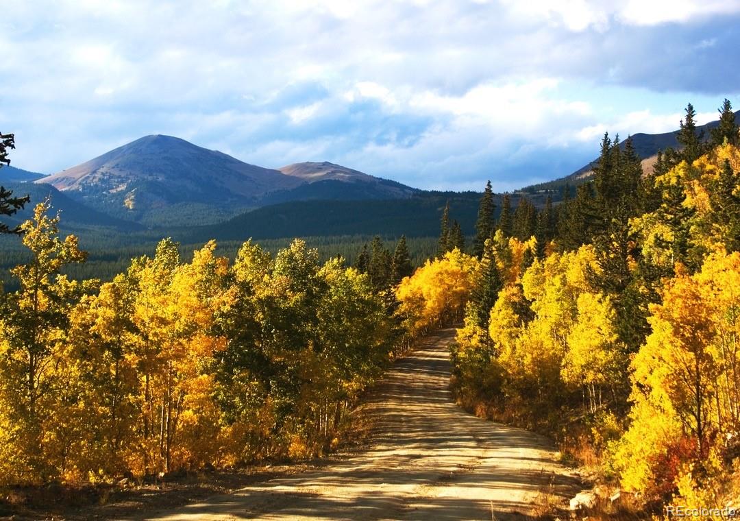 MLS Image #12 for 305 s park #402 avenue 402,breckenridge, Colorado