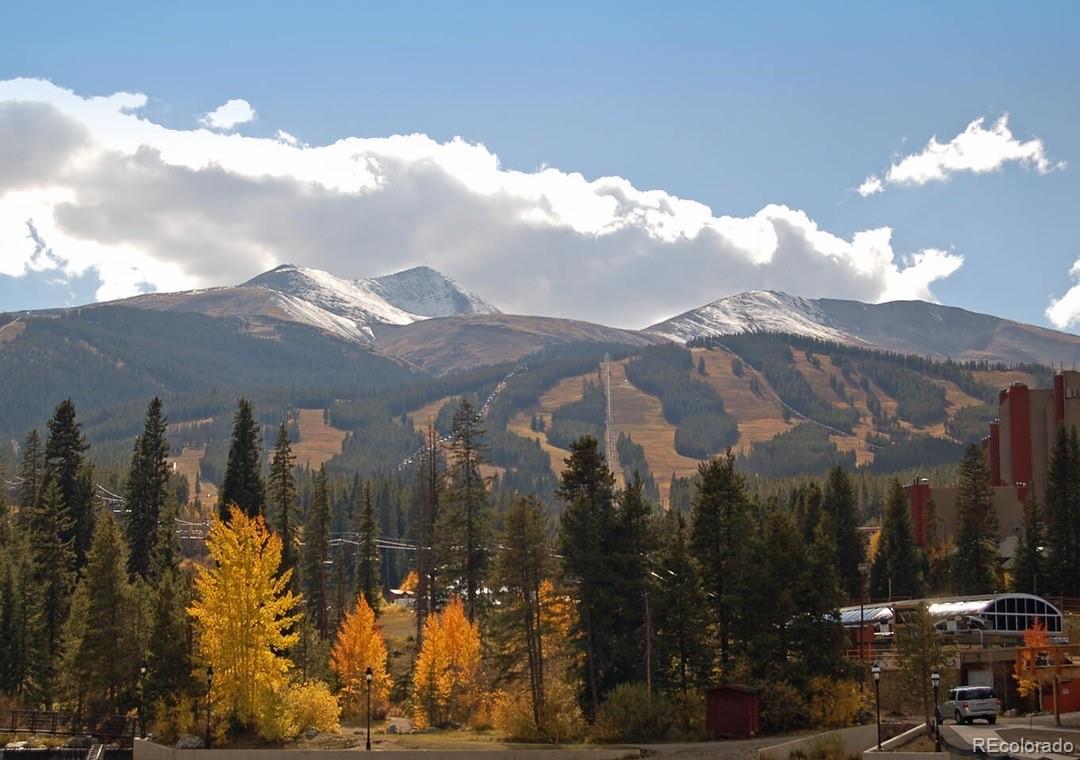 MLS Image #13 for 305 s park #402 avenue 402,breckenridge, Colorado