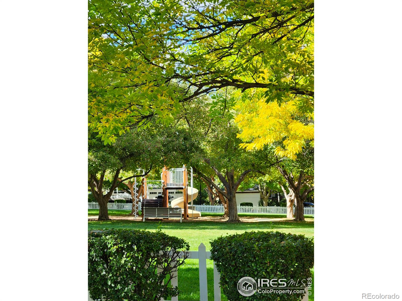 MLS Image #3 for 2509  ravenwood lane,lafayette, Colorado