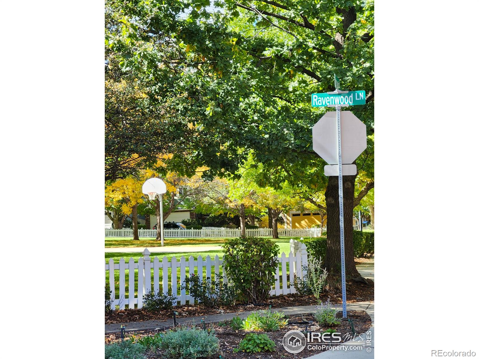 MLS Image #47 for 2509  ravenwood lane,lafayette, Colorado