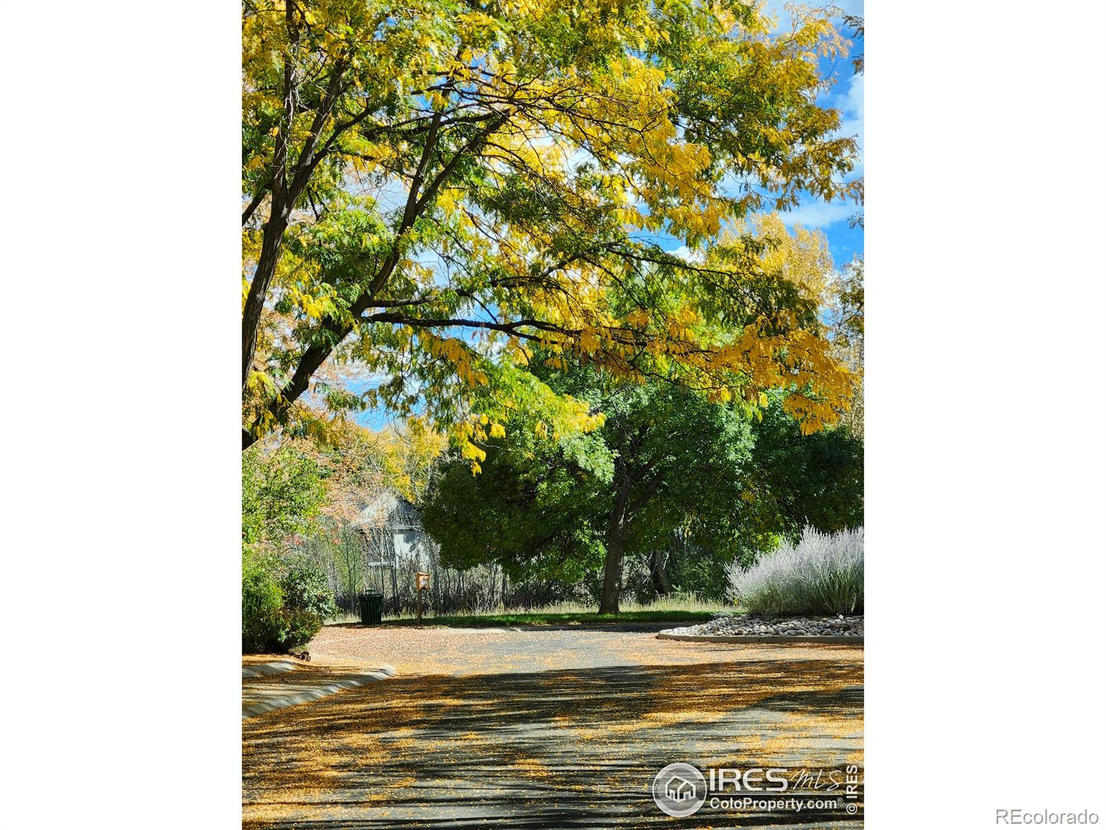 MLS Image #5 for 2509  ravenwood lane,lafayette, Colorado