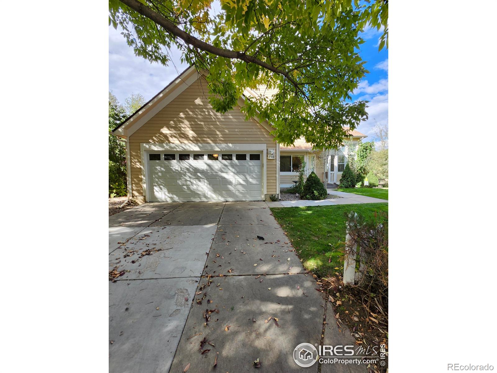 MLS Image #6 for 2509  ravenwood lane,lafayette, Colorado