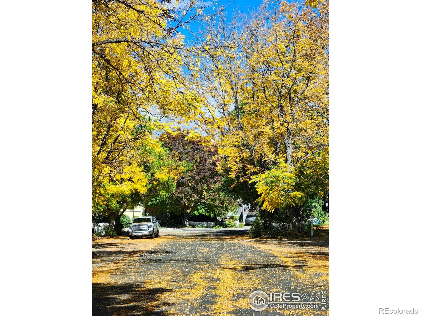 MLS Image #7 for 2509  ravenwood lane,lafayette, Colorado
