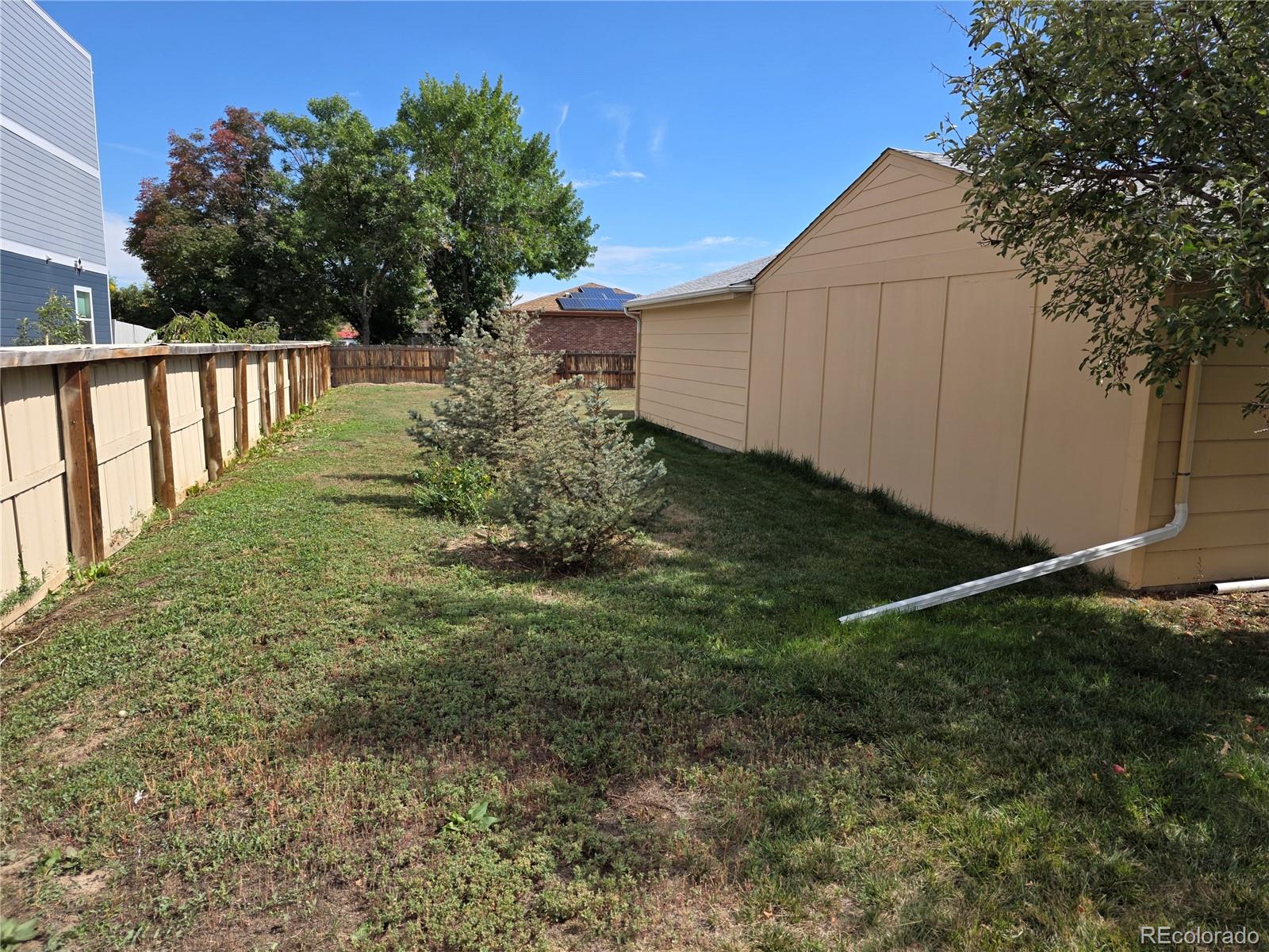 MLS Image #7 for 6544  lowell boulevard,denver, Colorado